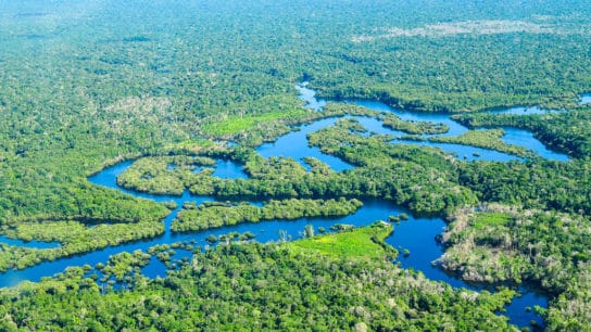 Amazon Rainforest Is Now A Source of CO2 Instead Of Absorbing It