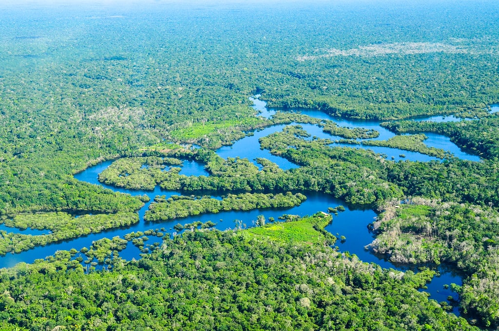 Amazon Rainforest Is Now A Source of CO2 Instead Of Absorbing It