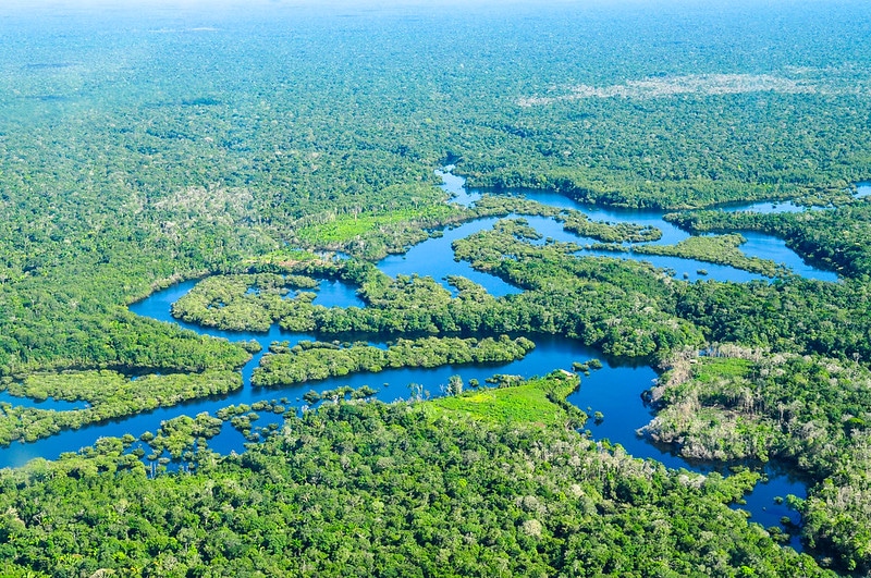 Smartphones and Satellite Data Helped Indigenous Peruvians Protect the Amazon Rainforest – Study