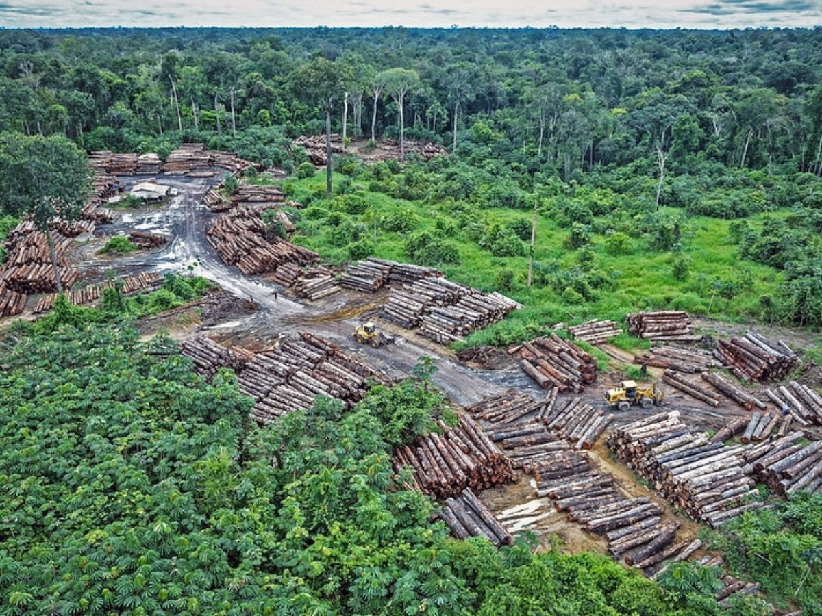 Increasing fragmentation of forest cover in Brazil's Legal