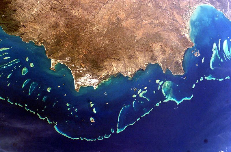 Australia Prevents UNESCO Downgrading the Great Barrier Reef To “In Danger”