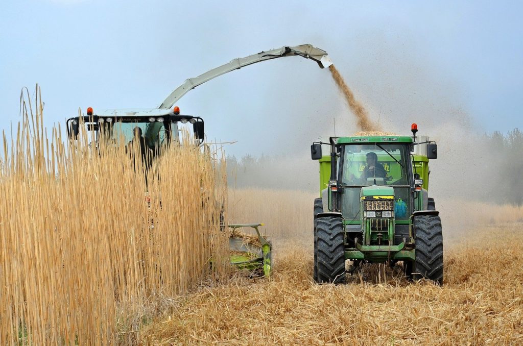 Bioethanol in Brazil: Can It Be a Promising Alternative Energy for the Country?