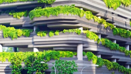 How Can Cities Be Greener in a Global Warming World?