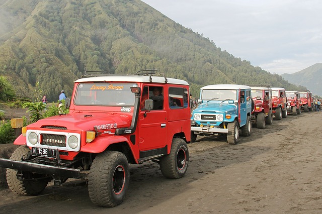Indonesia Bets on Biofuels Over Oil, But Electric Vehicles Could Render Both Moot