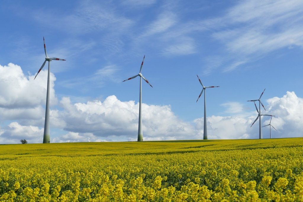 Global Solar and Wind Power Capacity Rose at Record Pace in 2020