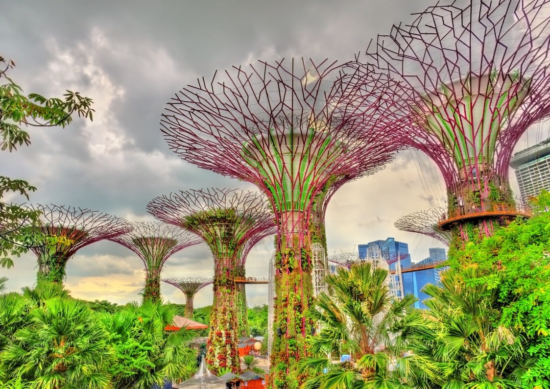 sustainable cities, singapore, gardens by the bay
