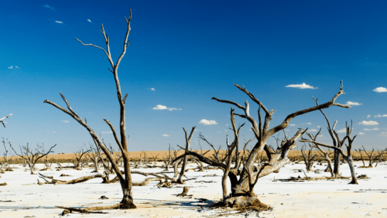 Australia Still Refuses to Take Concrete Climate Action Following “Code Red” IPCC Report