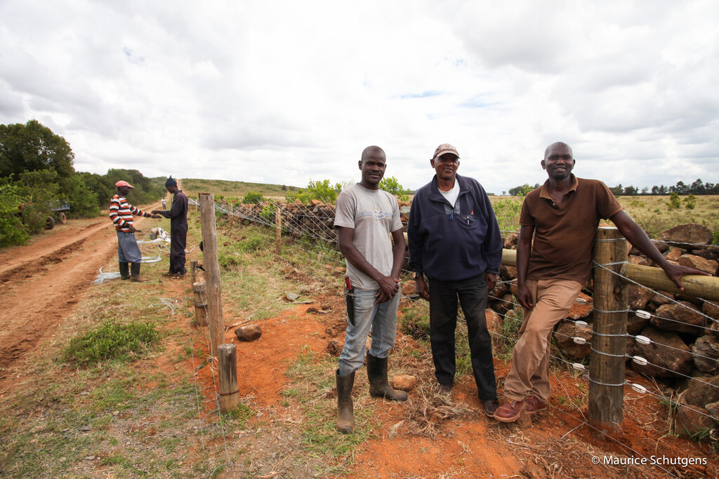 space for giants, elephant fencing