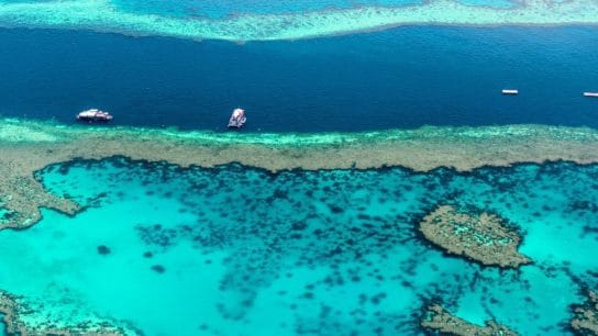 With Coral Cover Halved, Curbing Climate Change is Only Way for Coral Conservation