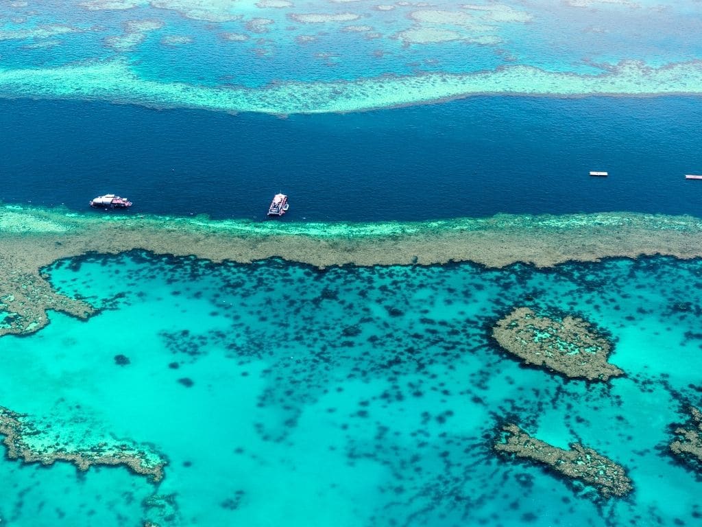 What Is Blue Carbon Worth To You?
