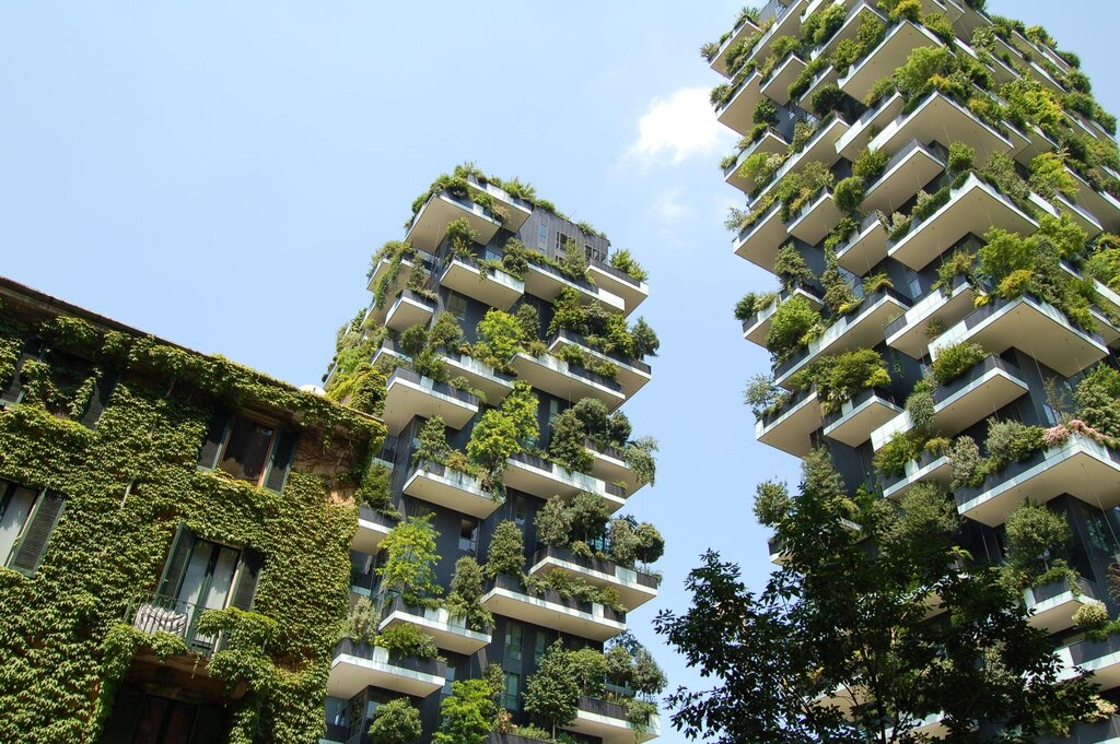 It’s Time to Stop Using the Environmental Bottom Line in Sustainable Development