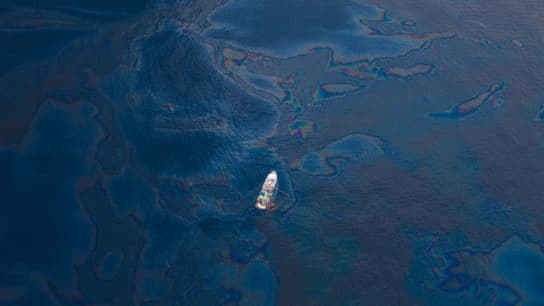 How Do Oil Spills Affect the Environment