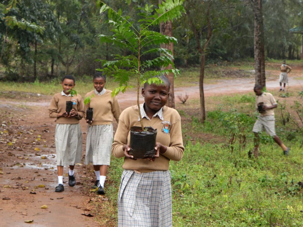 Conservation and Restoration of the Colobus Migratory Corridor