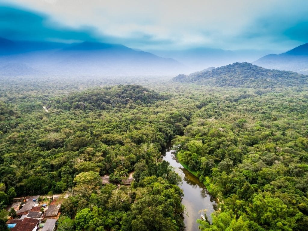 Facebook Bans Sales of Protected Land in the Amazon Rainforest on Marketplace