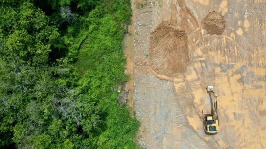 Global Banks Financed $119bn to Companies Linked to Deforestation