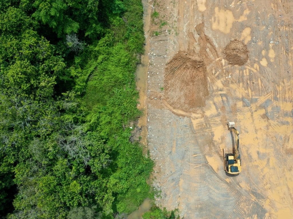 Global Banks Financed $119bn to Companies Linked to Deforestation