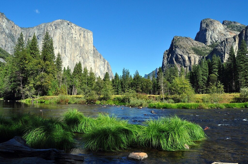 10 UNESCO Forests Are Now Sources of Carbon Due To Human Activity