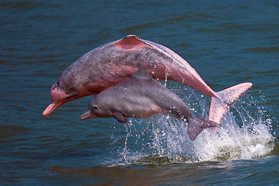 lantau vision tomorrow