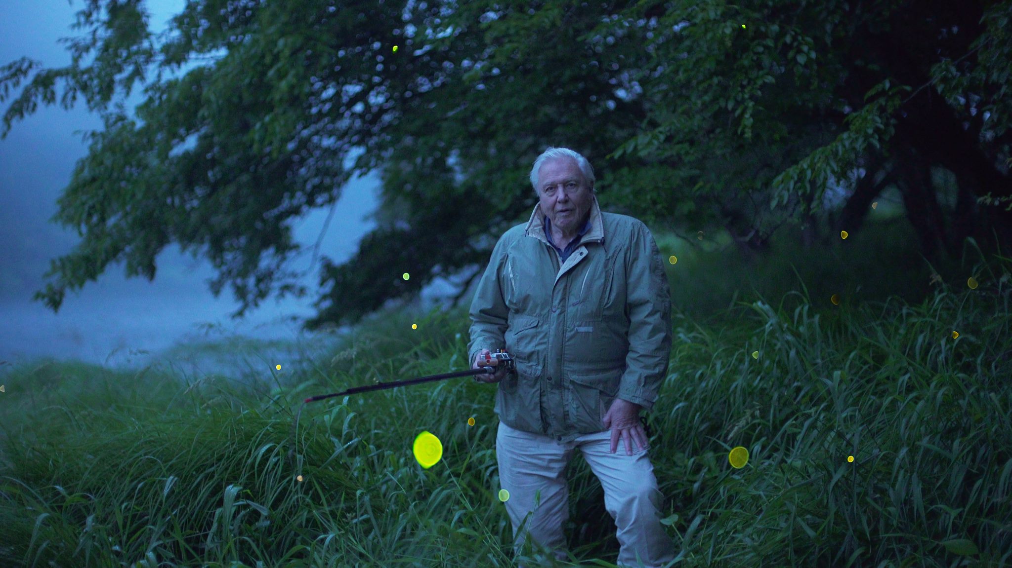 David Attenborough Movies