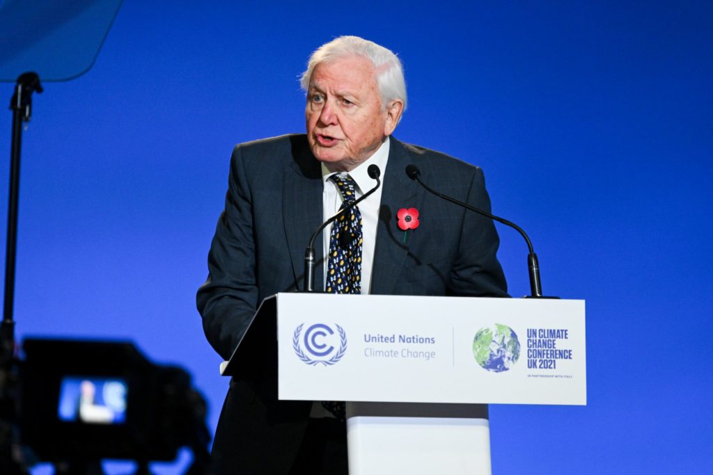 7 Best David Attenborough Movies About Nature and Wildlife