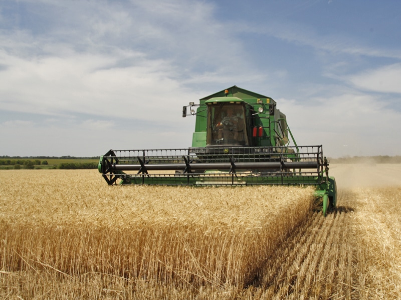 Emissions from Global Food System Rose 16% Over Last 30 Years – UN Report