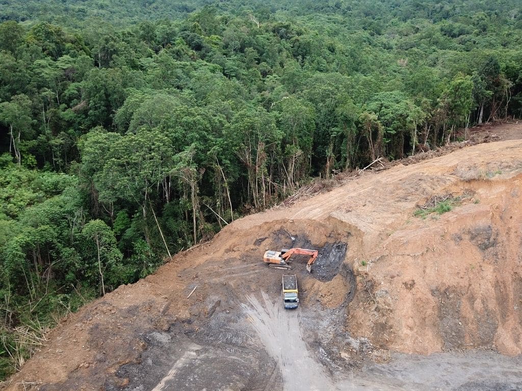 100 Countries Pledge to End Deforestation by 2030 in Historic Declaration at COP26