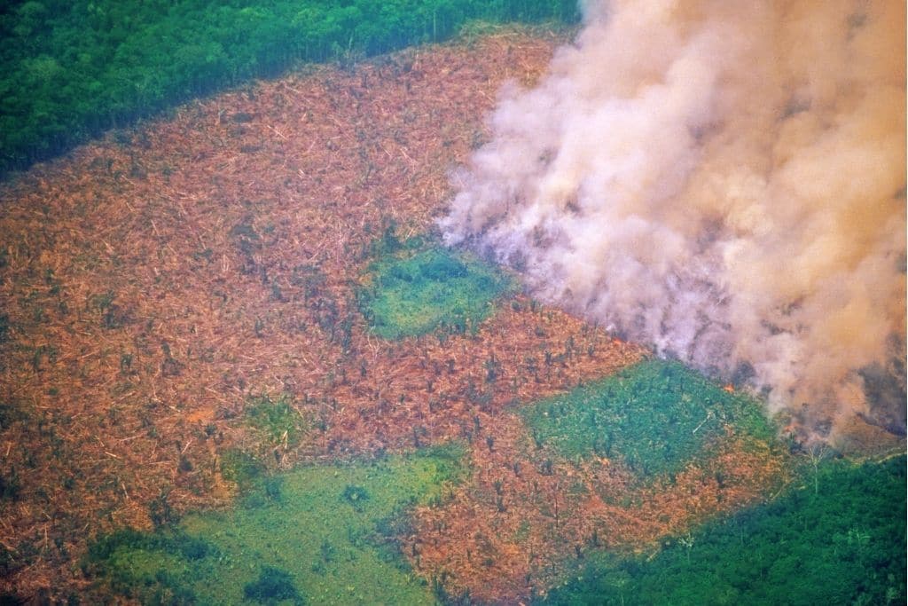 Deforestation in the Amazon Rainforest Hits 15-Year High