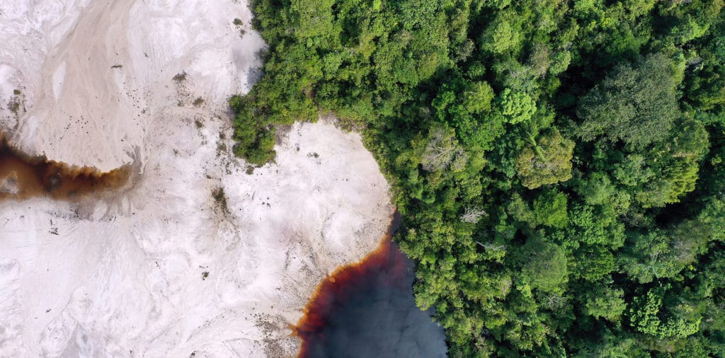 How Do the UN Forest Declarations Compare?