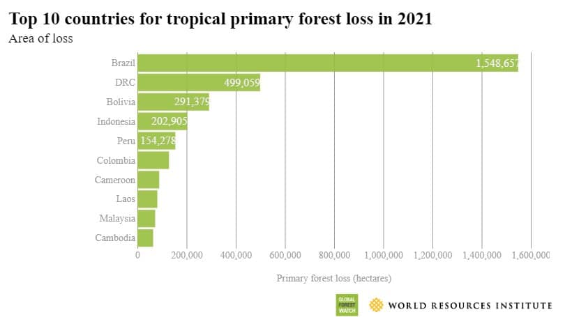 deforestation facts