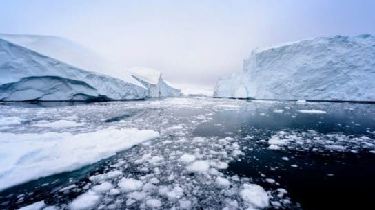 Hottest Temperature in the Arctic Recorded in 2020, UN Confirms