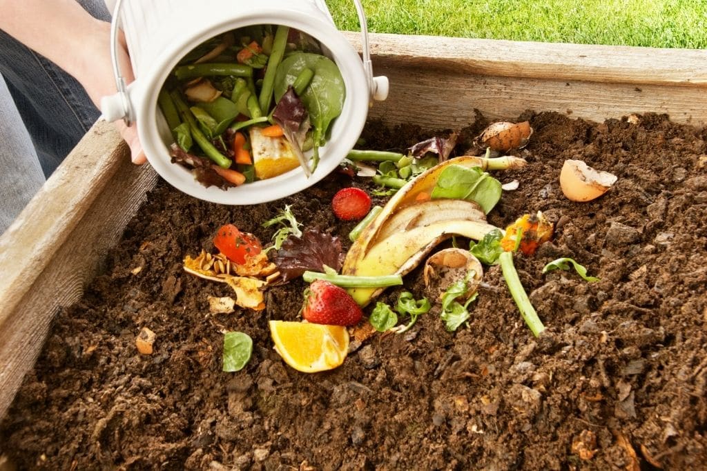 California to Launch Largest Food Waste Recycling Programme in the US
