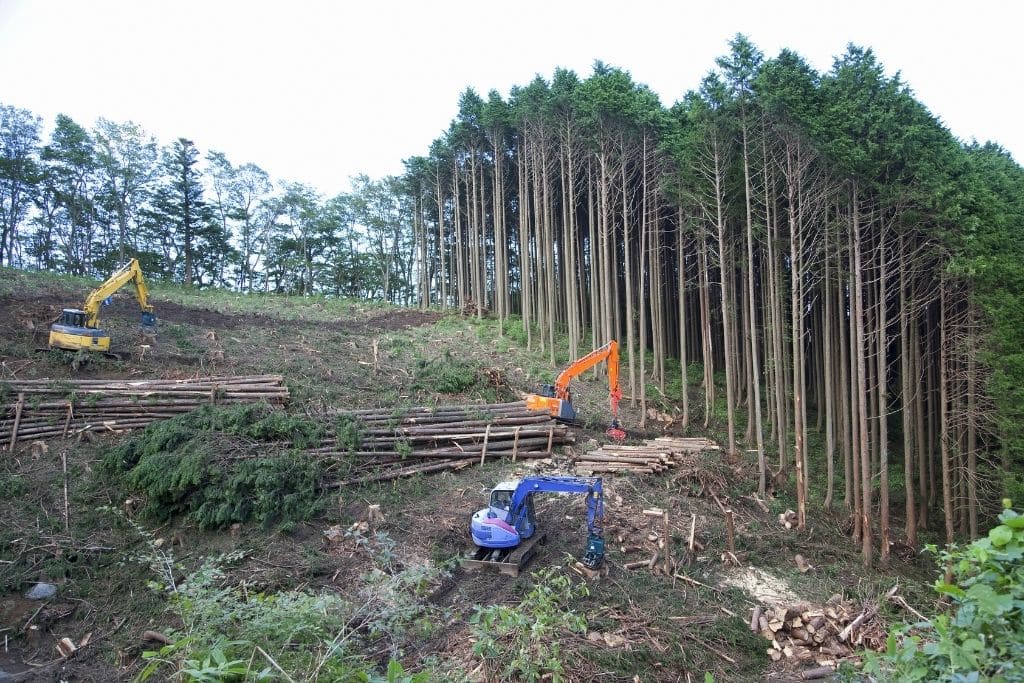 Major Fashion Brands May Be Linked to Deforestation of the Amazon Rainforest