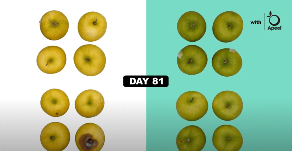 solutions for food waste, apeel