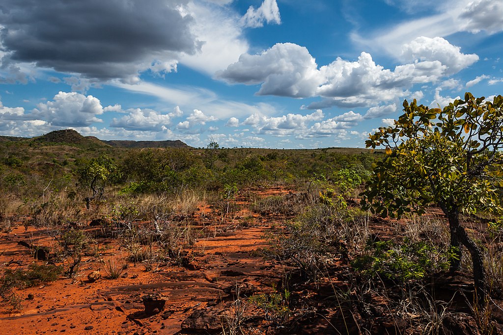 Brazil: Deforestation in the Savanna Hits A Six-Year High