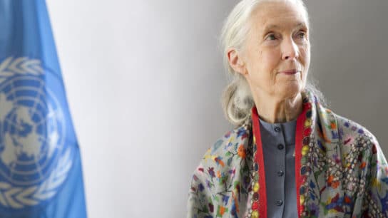 7 Best Books by Jane Goodall on Nature and Primatology