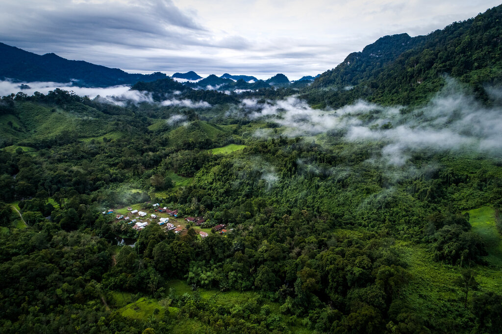 Vanishing Act: Deforestation in Indonesia