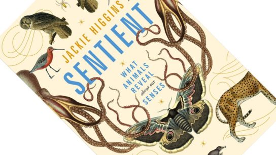 Review: Sentient, by Jackie Higgins