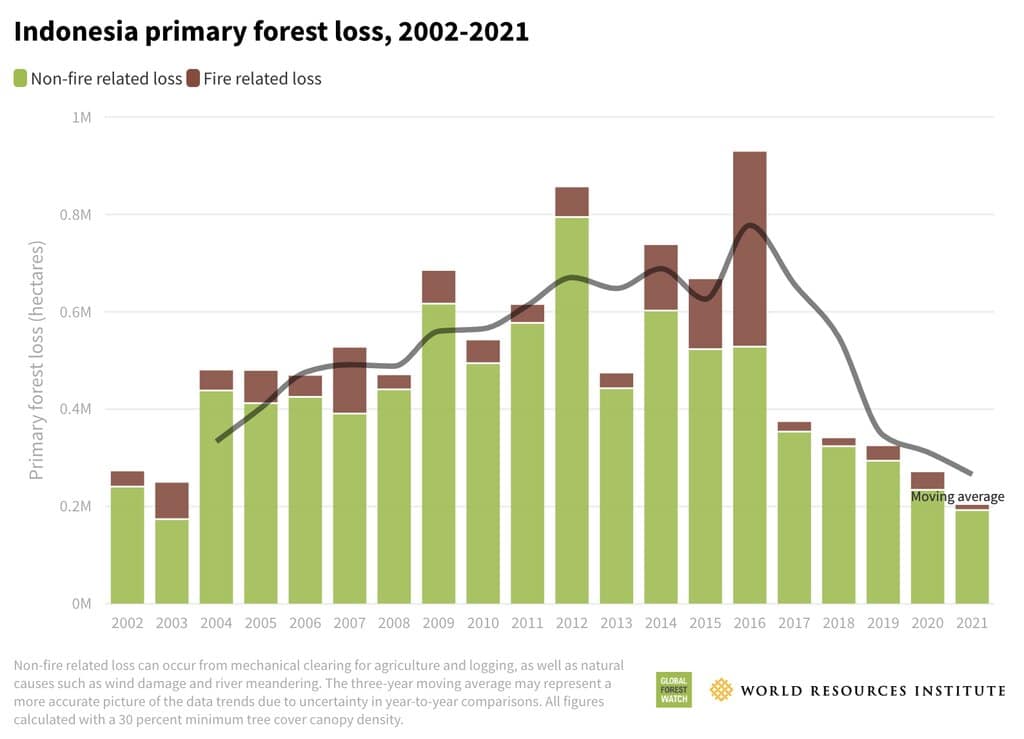 deforestation in indonesia
