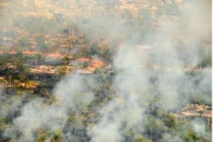 3 Things To Know About Australia Bushfires Earth Org