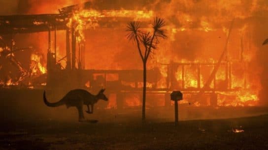 3 Things to Know About Australia Wildfires and Bushfires