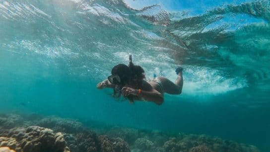 The Environmental Impacts of Reef-Safe Sunscreen and How to Choose the Best One