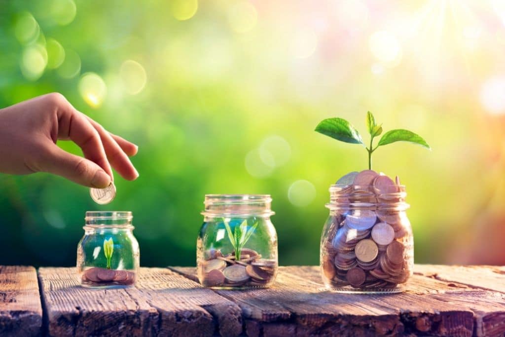 Climate Change Investment Policies and Risks for Businesses