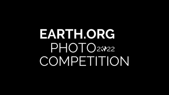 See the Winners of the 2022 Earth.Org Photography Competition!