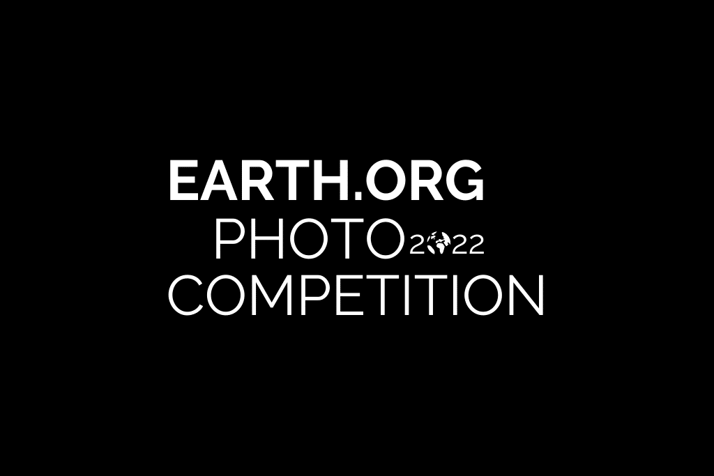 earth.org photography competition 2022