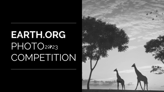 See the Winners of the 2023 Earth.Org Photography Competition!