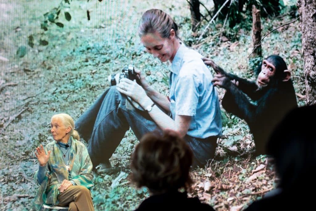 Jane Goodall, Founder, Jane Goodall Institute, USA speaking during the Session "Close Encounters with Jane Goodall and Skye Meaker" at the Annual Meeting 2019 of the World Economic Forum in Davos, January 22, 2019.