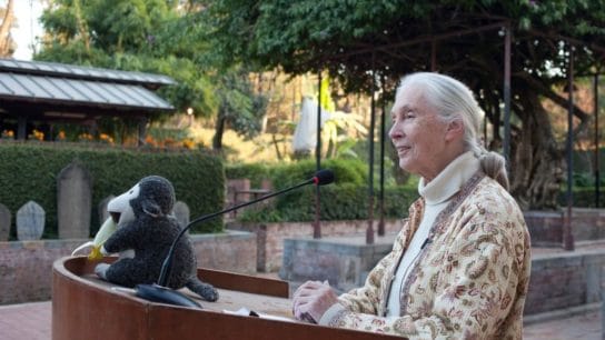 10 Inspiring Jane Goodall Quotes About Our Planet’s Future