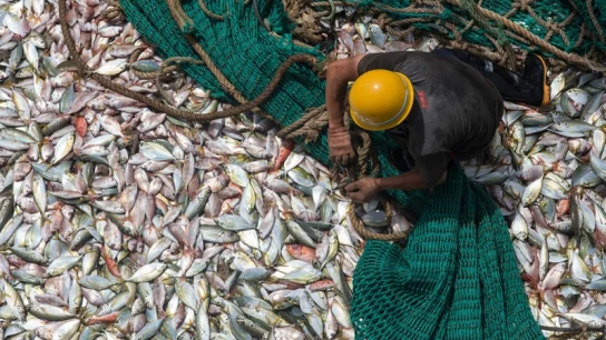 Indonesia Issues Long-delayed Rules to Protect Migrant Fishing Workers