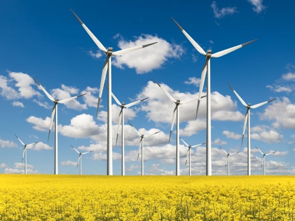 Could this new wind turbine design revolutionize renewable energy?