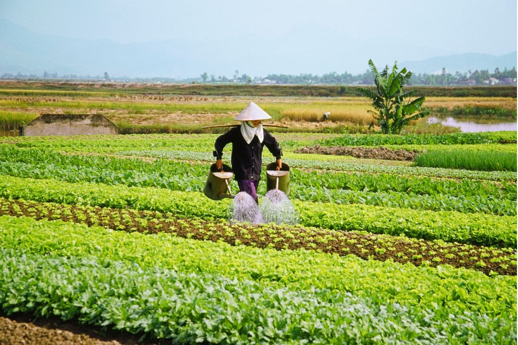 The Growing Importance of Food and Water Security Amid the Ukraine-Russia War